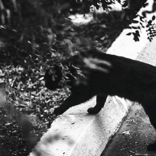 Photo #9540745