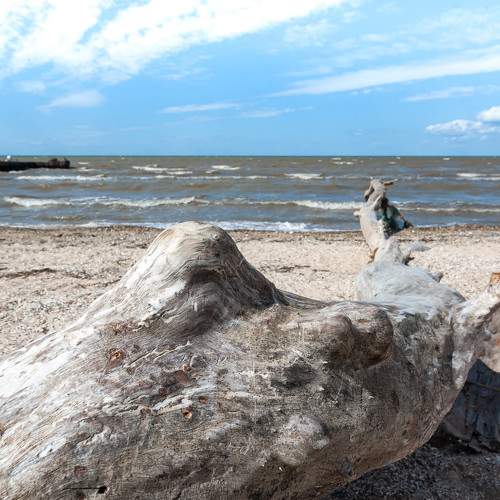 Photo #9540907