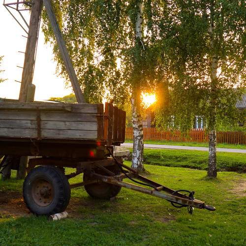 Photo #9540929