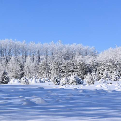 Photo #9541238