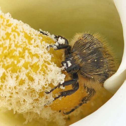 Photo #9541284
