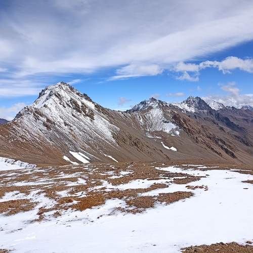 Photo #9541468