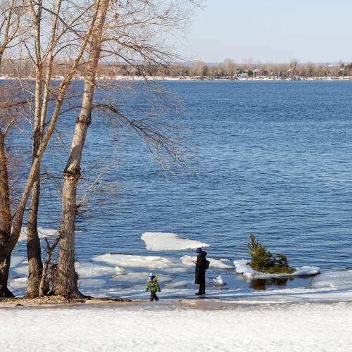 Photo #9541490