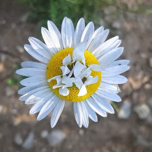 Photo #9541491