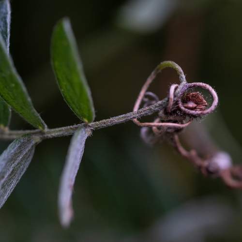 Photo #9541546