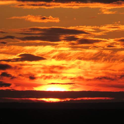 Photo #9541673