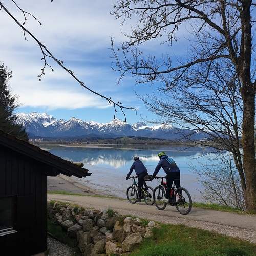 Photo #9541855