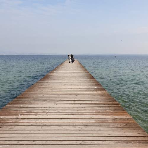 Photo #9541868
