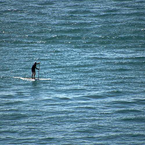 Photo #9541963