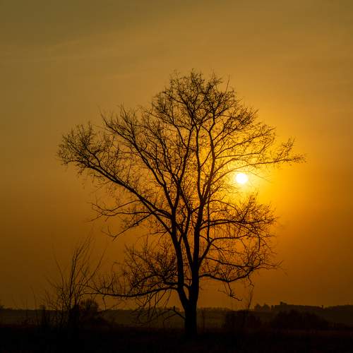 Photo #9541972
