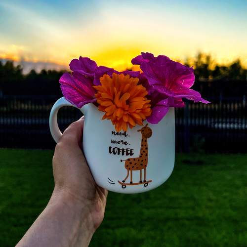 Photo #9542054