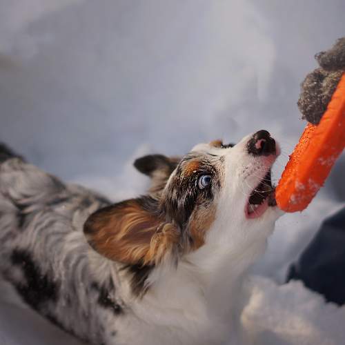 Photo #9542065