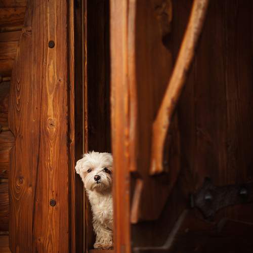Photo #9542073
