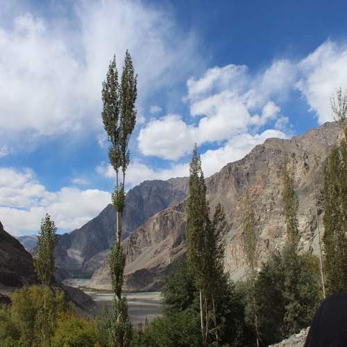 Photo #9542438