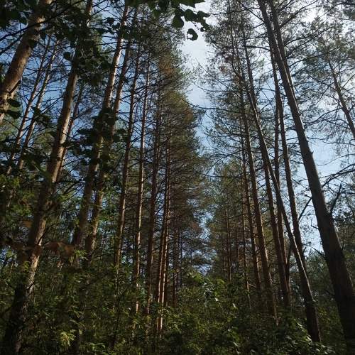 Photo #9542453