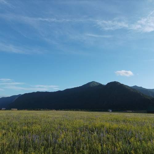 Photo #9542460