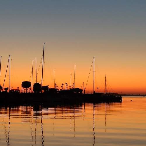 Photo #9542554