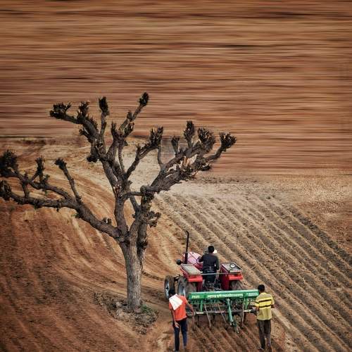 Tractor in the Farm