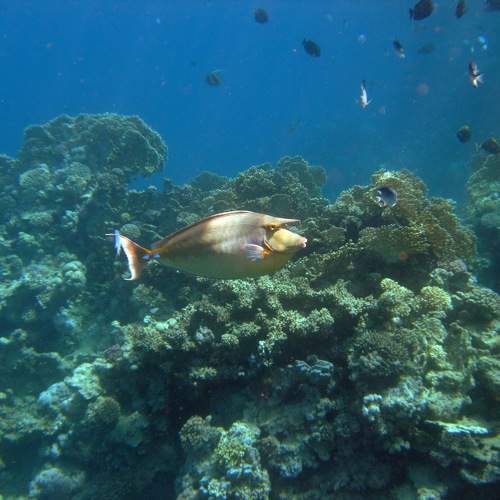 Photo #9542935