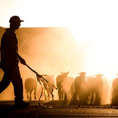 Фотография #9543398