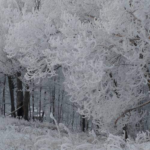 Photo #9543479