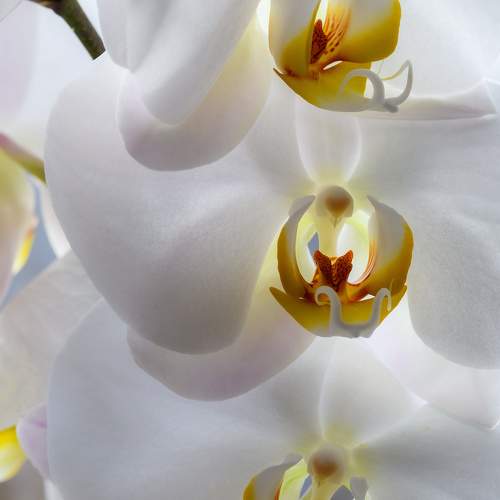 Photo #9543603