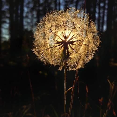Photo #9543638