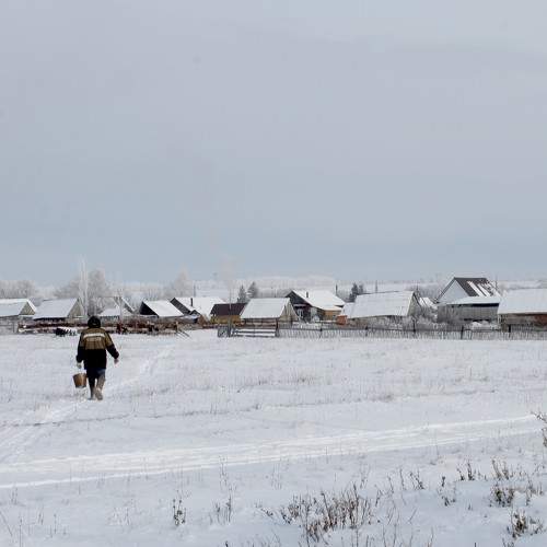 Photo #9543669