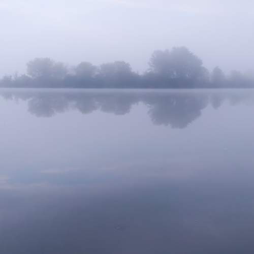 Photo #9543816