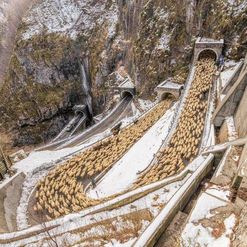 Photo #9544068