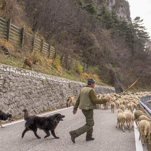 Photo #9544069