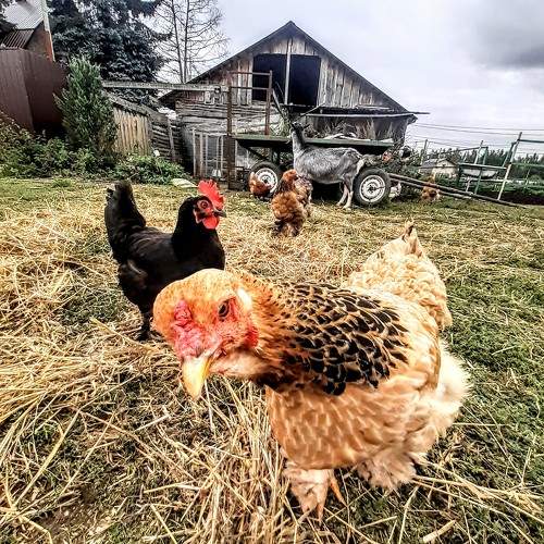Photo #9544079