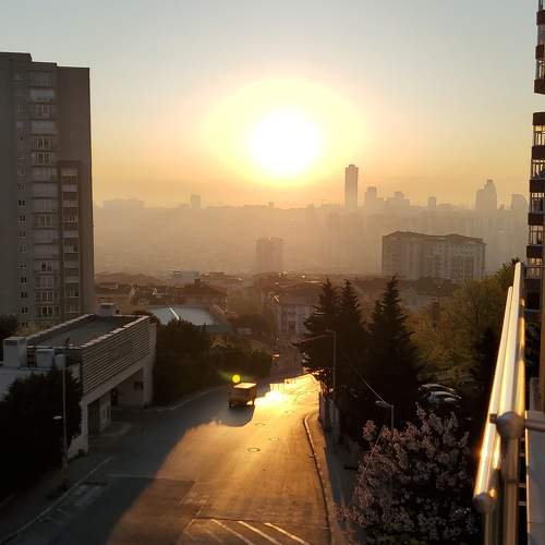 Photo #9544149
