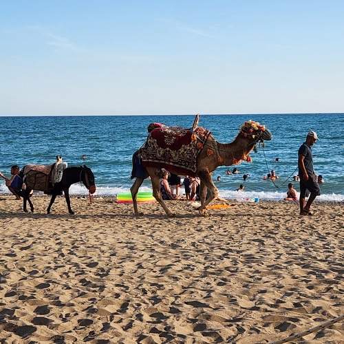 Photo #9544418