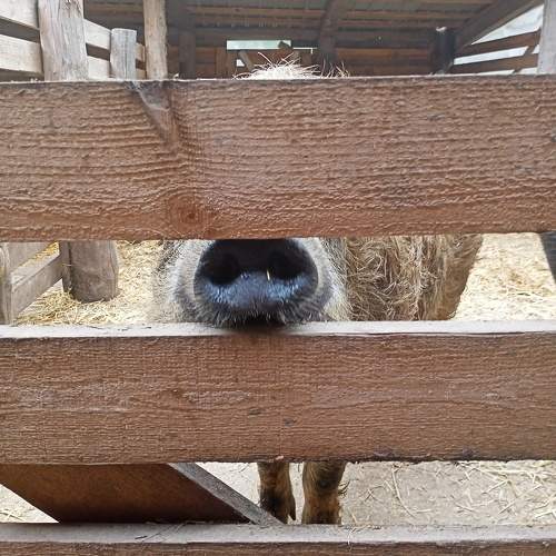 Photo #9544594