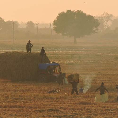 Photo #9545523