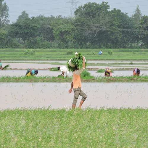Photo #9545524