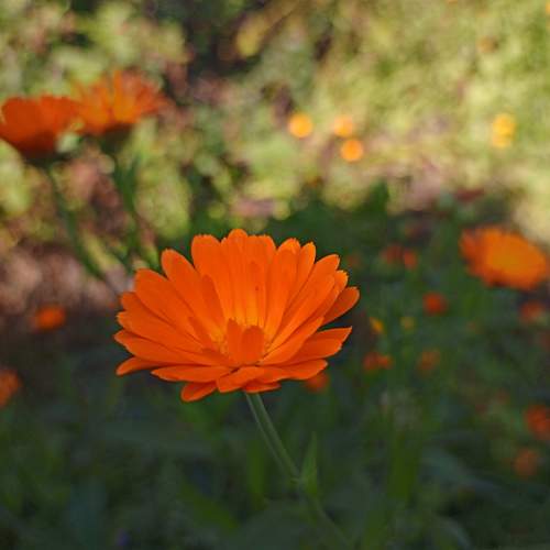 Photo #9545592