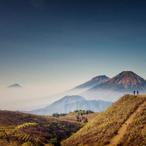 Photo #9545609