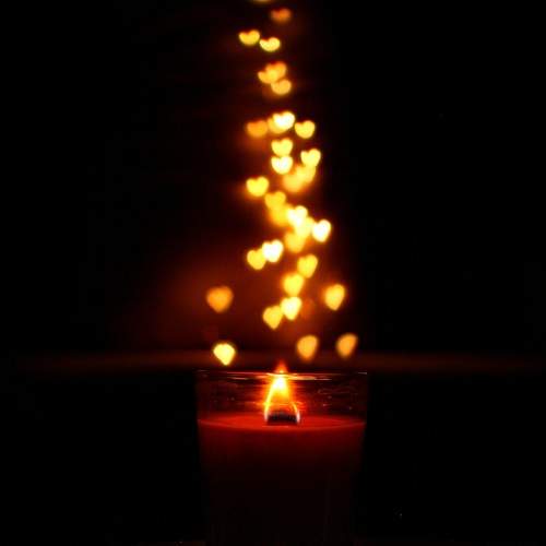 Photo #9545728