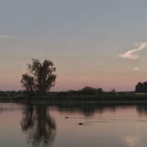 Photo #9545756