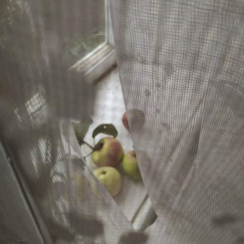 Photo #9545813