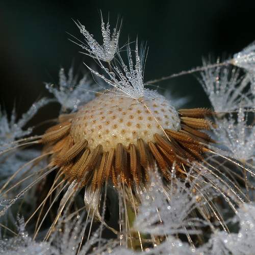 Photo #9545906