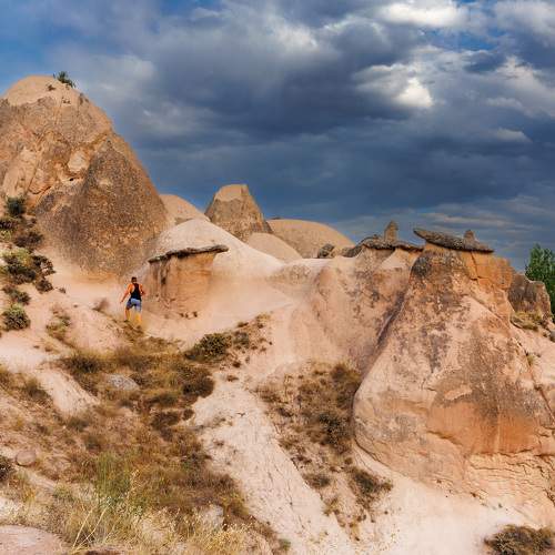Photo #9546230