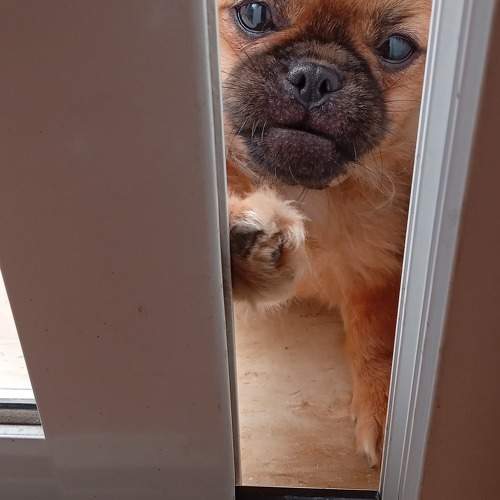 Photo #9546335