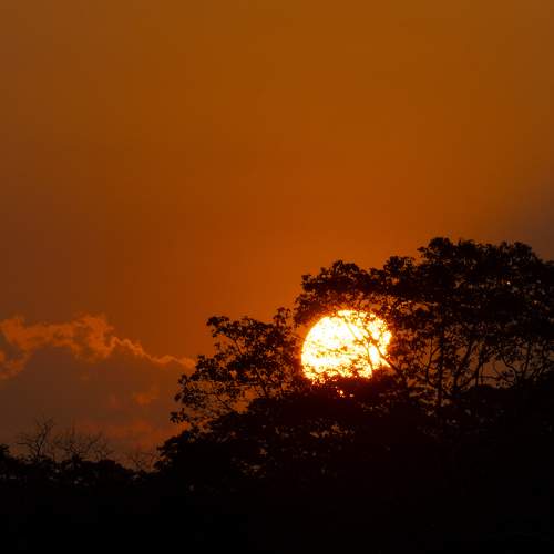 Photo #9546351