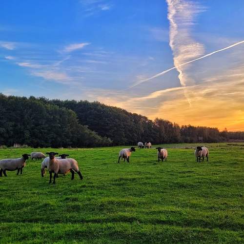 Photo #9546472