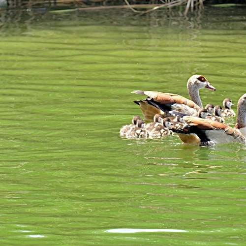 Photo #9546535