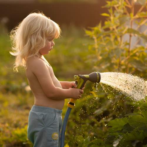 Photo #9546632