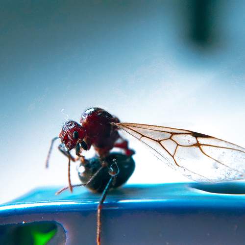 Photo #9546840